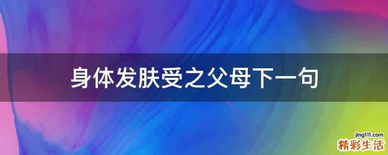 身体发肤受之父母下一句