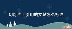 幻灯片上引用的文献怎么标注