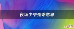 夜场少爷是啥意思