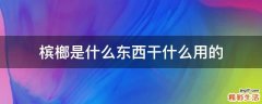 槟榔是什么东西干什么用的
