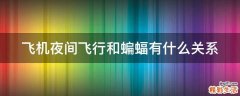 飞机夜间飞行和蝙蝠有什么关系