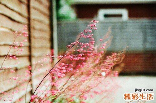 秋季幼儿保健知识