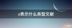 z表示什么类型文献