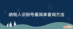 纳税人识别号最简单查询方法