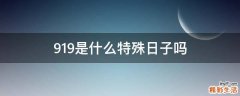 919是什么特殊日子吗
