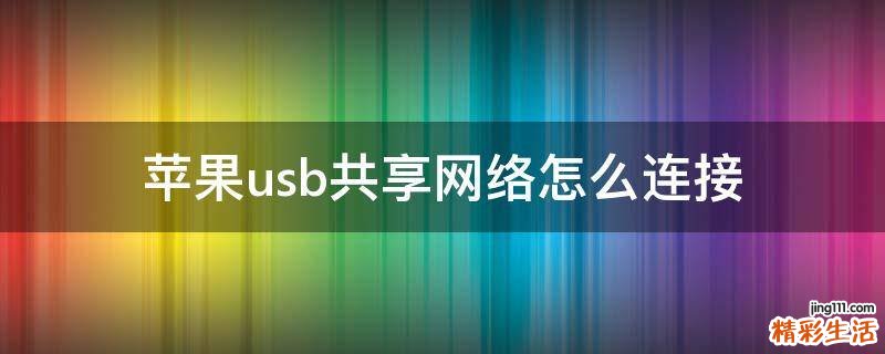 苹果usb共享网络怎么连接