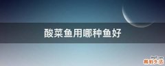 酸菜鱼用哪种鱼好