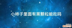 小柿子里面有黑颗粒能吃吗