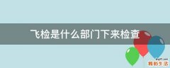 飞检是什么部门下来检查