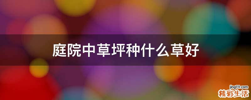 庭院中草坪种什么草好