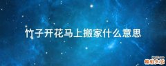 竹子开花马上搬家什么意思