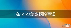在12123怎么预约审证
