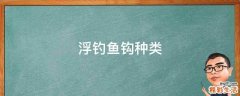 浮钓鱼钩种类