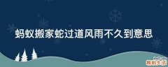 蚂蚁搬家蛇过道风雨不久到意思