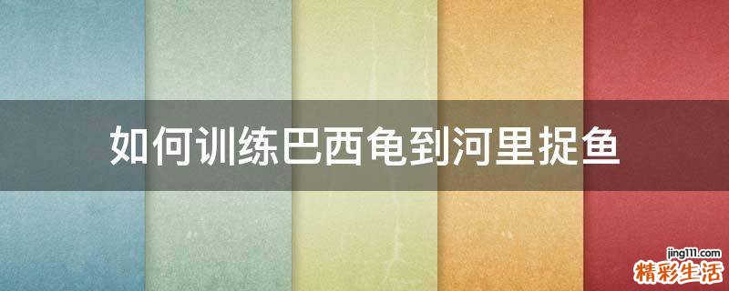 如何训练巴西龟到河里捉鱼