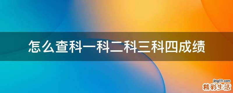 怎么查科一科二科三科四成绩