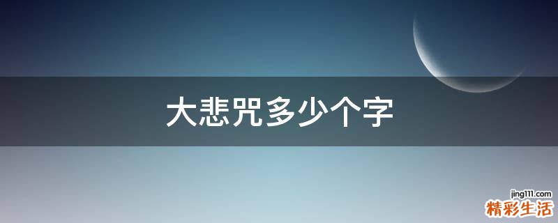 大悲咒多少个字