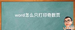 word怎么只打印奇数页