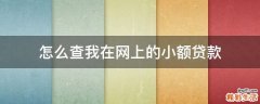 怎么查我在网上的小额贷款