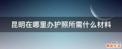 昆明在哪里办护照所需什么材料