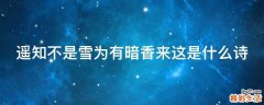 遥知不是雪为有暗香来这是什么诗