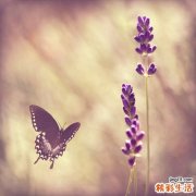 初秋必做的10项美容作业