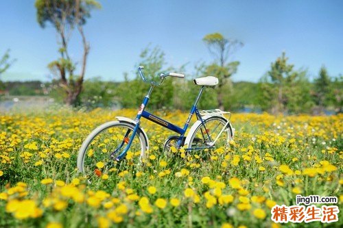 春末夏初宜吃素9种蔬菜大推荐