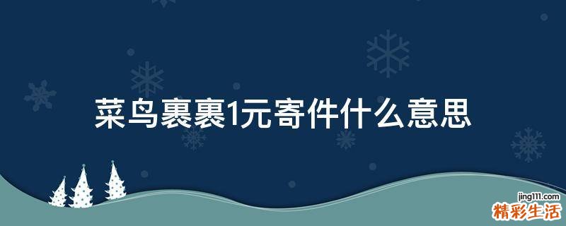 菜鸟裹裹1元寄件什么意思