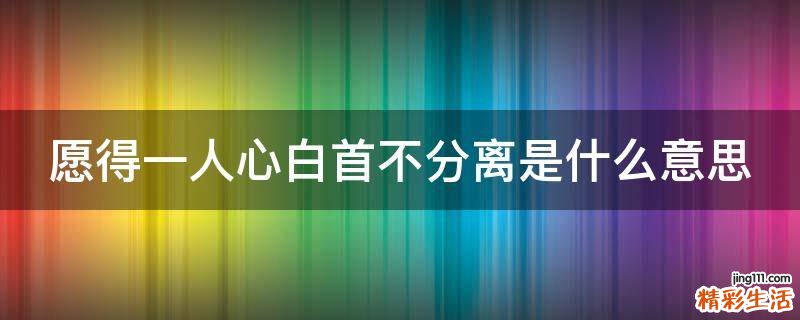 愿得一人心白首不分离是什么意思
