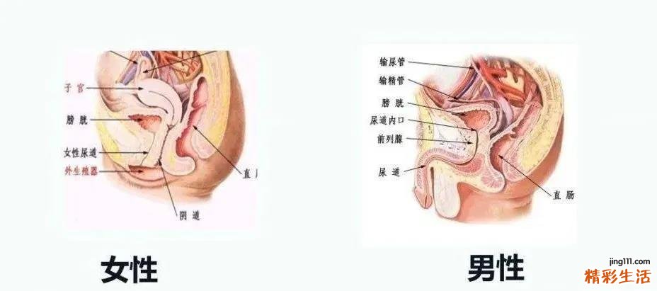 啪啪后男友这个骚操作,让我不幸中招……