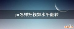 pr怎样把视频水平翻转