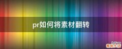 pr如何将素材翻转