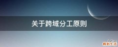 关于跨域分工原则
