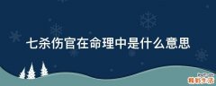 七杀伤官在命理中是什么意思