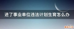 进了事业单位违法计划生育怎么办