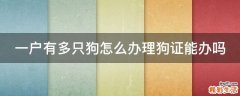一户有多只狗怎么办理狗证能办吗
