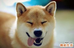 心情不佳时 让你嘴角上扬的7个心理“假动作”