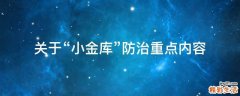 关于“小金库”防治重点内容