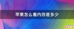 苹果怎么看内存是多少