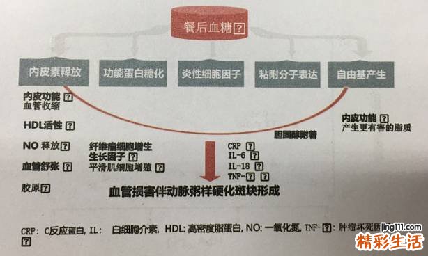 餐后血糖高怎么办？餐后高血糖有哪些危害？