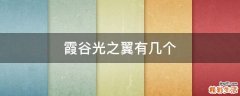 霞谷光之翼有几个
