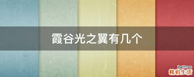 霞谷光之翼有几个