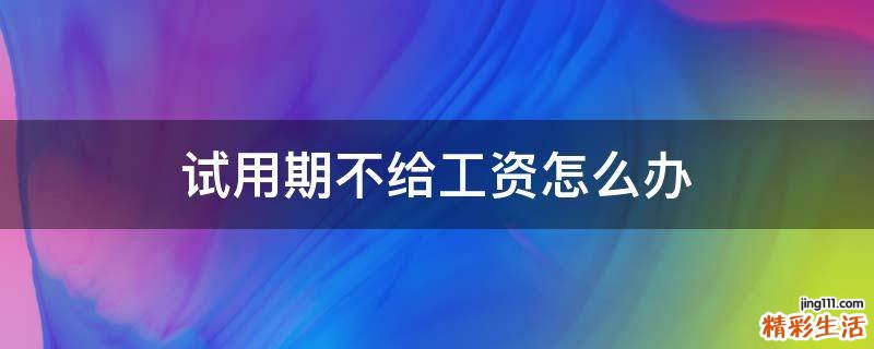 试用期不给工资怎么办