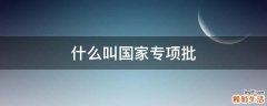 什么叫国家专项批