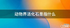 动物界活化石是指什么
