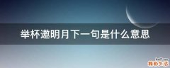 举杯邀明月下一句是什么意思