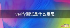 verify测试是什么意思