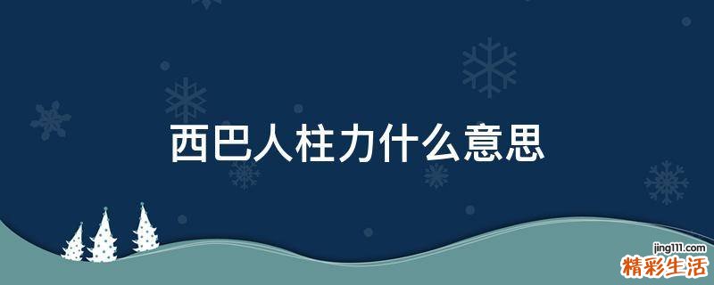 西巴人柱力什么意思