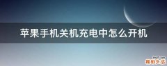 苹果手机关机充电中怎么开机