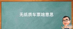 无纸质车票啥意思